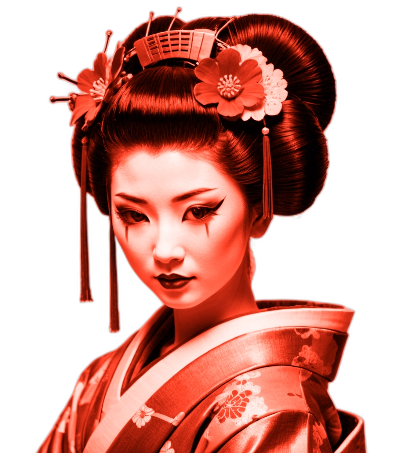 OZASHIKI Geisha